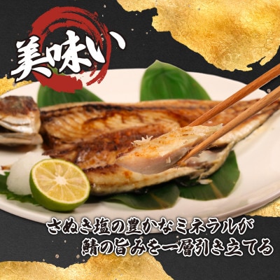 銚子産　一汐さば　8kg