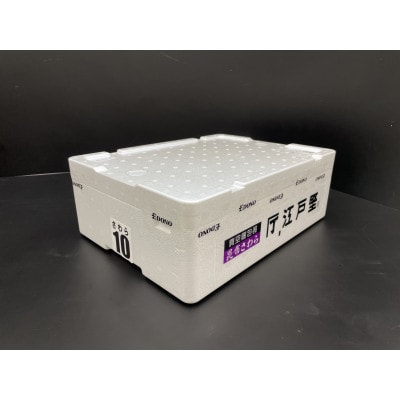 汐さわら・昆布エキス仕込(真空) 10枚入