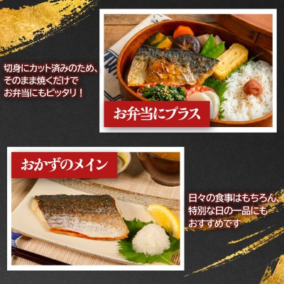 汐さわら・昆布エキス仕込(真空) 5入