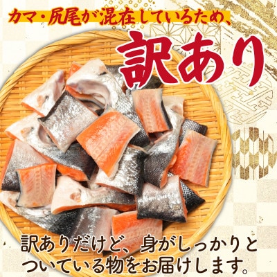 サーモントラウト　切り落とし(カマ入り)　4切入×6パック