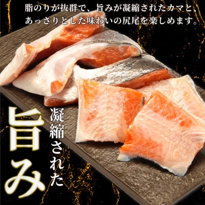 サーモントラウト　切り落とし(カマ入り)　4切入×6パック