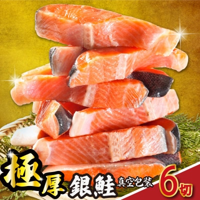 銀さけ切身　2切入り真空パック×3パック