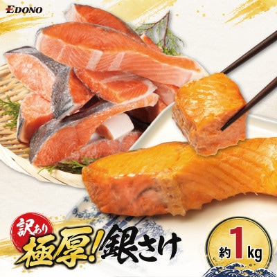 【訳あり】極厚　塩銀鮭　1kg