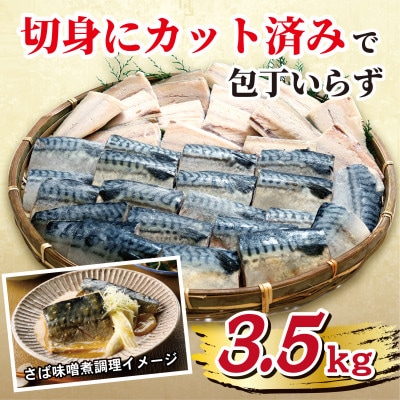 【訳あり】霜降り塩さば切身 約3.5kg