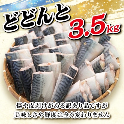 【訳あり】厚切り!熟成塩サバ切身