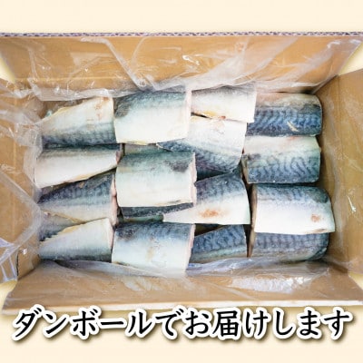 【訳あり】厚切り!熟成塩サバ切身