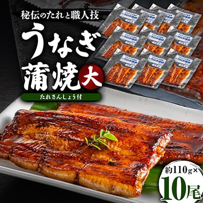 うなぎ蒲焼真空パック　大　10尾入　たれさんしょう付