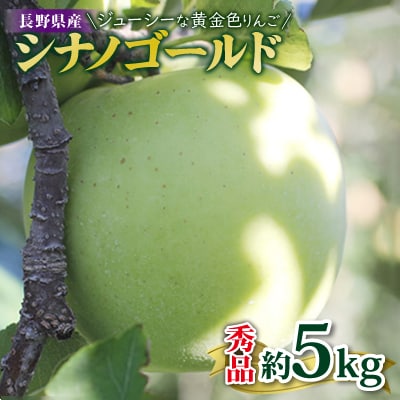 ジューシーな黄金色りんご(シナノゴールド)約5kg 秀品〈2025年10月下旬～11月末発送〉