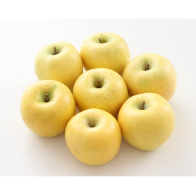 ジューシーな黄金色りんご(シナノゴールド)約5kg 秀品〈2026年10月下旬～11月下旬発送〉