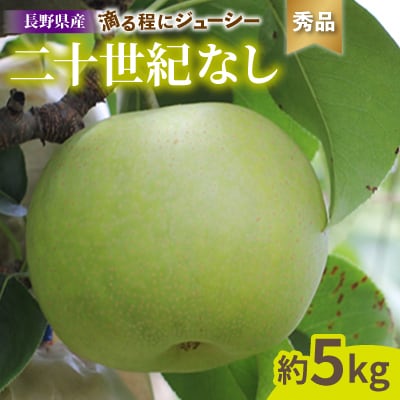 滴る程にジューシー 長野県産　なし(二十世紀) 約5キロ 秀品〈2025年9月上旬～9月末発送〉