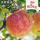 太陽の光をたっぷりと浴びた 長野県産りんご(サンふじ)約5kg 秀品＜11月下旬～12月中旬発送＞