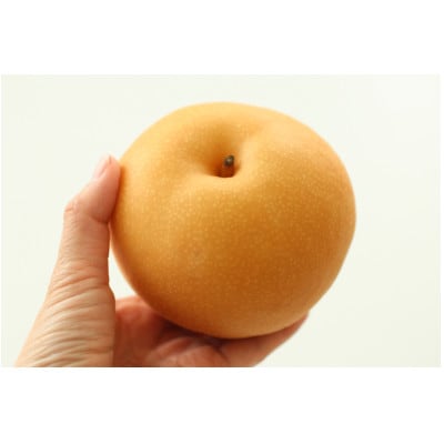 ジューシーで甘い!長野県産 梨 (南水) 約3キロ 秀品〈2026年9月中旬～10月中旬発送〉