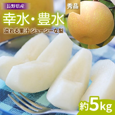 長野県産 溢れる果汁 ジューシーな梨(幸水・豊水)約5キロ 秀品〈2025年8月下旬～9月中旬発送〉