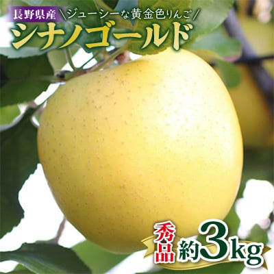ジューシーな黄金色りんご(シナノゴールド) 約3kg 秀品〈2025年10月下旬～11月末発送〉