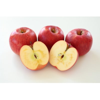 人気の品種!長野県産りんご(サンふじ) 約3kg 秀品<2026年11月下旬～12月中旬発送>