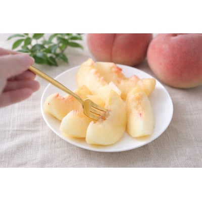 長野県産 桃(あかつき)約5kg 秀品〈2026年7月中旬～8月中旬発送〉