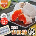 信州の特産品「市田柿・極」 贈答用 2Lサイズ(12個入)〈2026年1月上旬～2月下旬発送〉