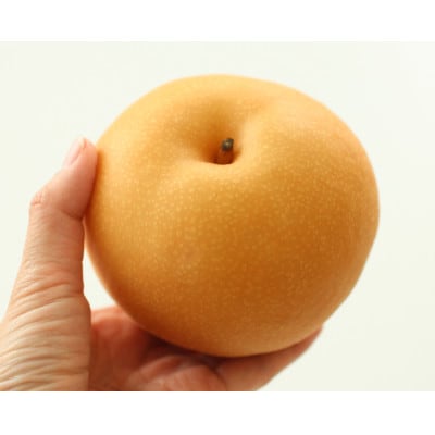 ジューシーで甘い梨!長野県産 梨(南水) 約5kg 秀品〈2026年9月中旬～10月中旬発送〉