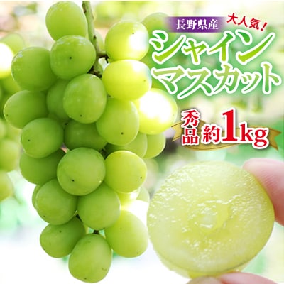 【大人気!】長野県産・シャインマスカット(約1kg) 秀品〈2025年9月中旬～11月上旬発送〉