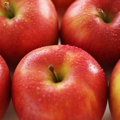 香りもよく食べやすい!  りんご(シナノスイート)約10kg 秀品〈10月中旬～11月中旬発送〉