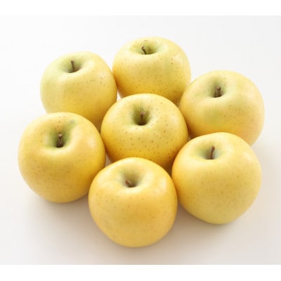 ジューシーな黄金色りんご(シナノゴールド)約10kg 秀品〈2026年10月下旬～11月下旬発送〉