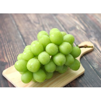 【氷温貯蔵】長野県産・シャインマスカット(約1kg)秀品