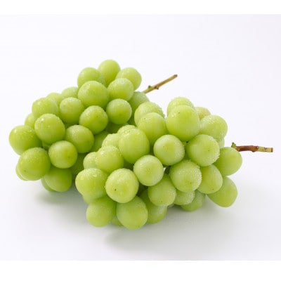 【氷温貯蔵】長野県産・シャインマスカット(約2kg)秀品