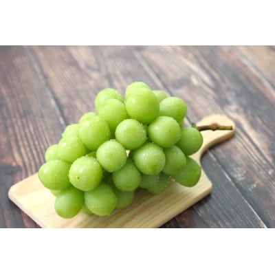 【氷温貯蔵】長野県産・シャインマスカット(約2kg)秀品