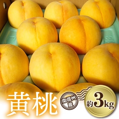 南信州産「黄桃」約3kg