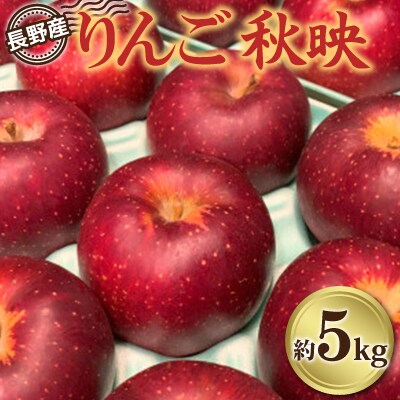 長野県産　りんご「秋映」約5kg　【2025年9月～10月発送】