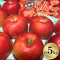 長野県産　りんご「シナノスイート」約5kg【2025年9月～10月発送】