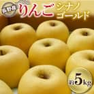 長野県産　りんご「シナノゴールド」約5kg　【2025年10月より発送】