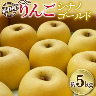 長野県産　りんご「シナノゴールド」約5kg　【2025年10月より発送】