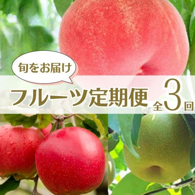 【発送月固定定期便】南信州産　旬のフルーツ定期便全3回