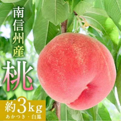【発送月固定定期便】南信州産　旬のフルーツ定期便全3回