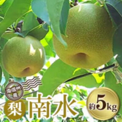 【発送月固定定期便】南信州産　旬のフルーツ定期便全3回