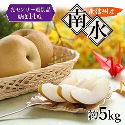 【南信州産】 南水　約5kg　光センサー選別品糖度14度
