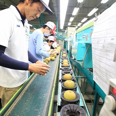 【南信州産】 南水 約5kg 光センサー選別品糖度14度