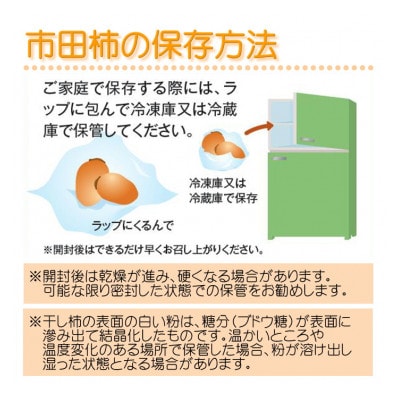 市田柿(バラふぞろい)約1kg(500gパック×2袋)
