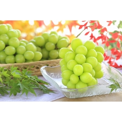 【南信州産】シャインマスカット 秀品　約2kg(3～5房)【2025年9月中旬～順次発送】