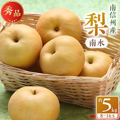 【南信州産】南水　秀品　約5kg　(8～16玉)【2025年9月中旬～順次発送】