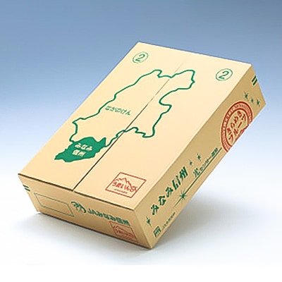 【南信州産】南水　秀品　約5kg　(8～16玉)【2025年9月中旬～順次発送】