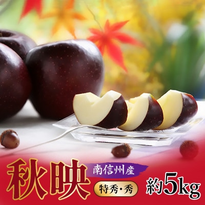 【南信州産】秋映　約5kg　特秀・秀【2025年10月上旬～順次発送】