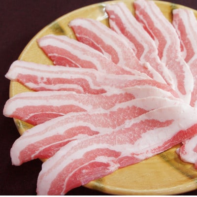 【焼肉の街】信州飯田ブランド豚　全日本優秀賞「幻豚(げんとん)」しゃぶしゃぶ用バラ肉　500g