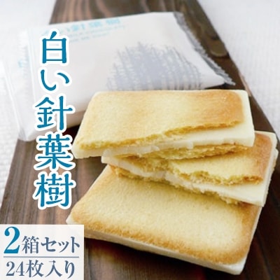 「白い針葉樹」 24枚入り×2箱セット