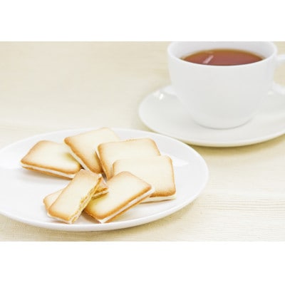 「白い針葉樹」 24枚入り×2箱セット