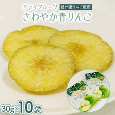 【信州産りんご使用】ドライフルーツ「さわやか青りんご」10袋セット | ふるさと納税のお礼品