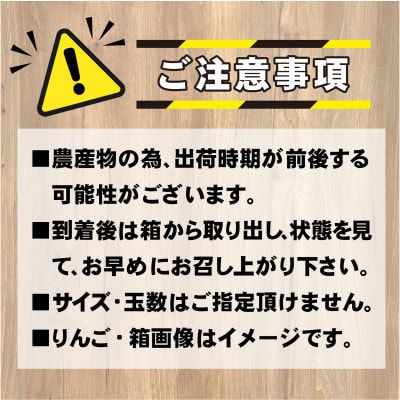 【12月中旬より順次発送予定】南信州産りんご サンふじりんご 5kg