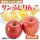 【12月上旬より順次発送予定】南信州産りんご サンふじりんご 10kg