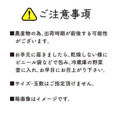 南信州産幸水　5kg